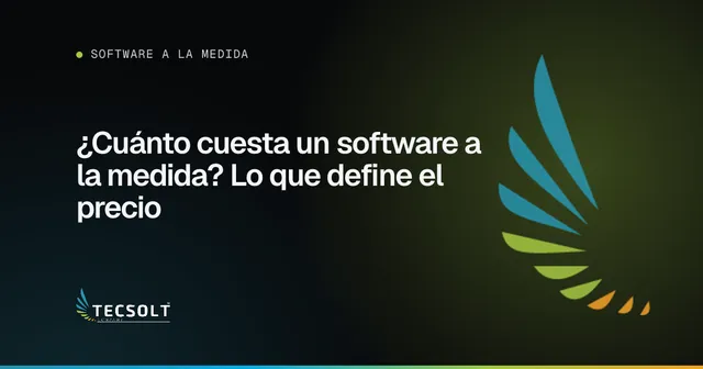 Portada del artículo: ¿Cuánto cuesta un software a la medida? Lo que define el precio
