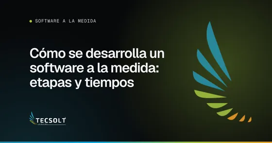 Portada del artículo: Cómo se desarrolla un software a la medida: etapas y tiempos